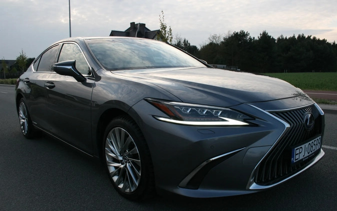 Lexus ES cena 180000 przebieg: 28500, rok produkcji 2019 z Pajęczno małe 466